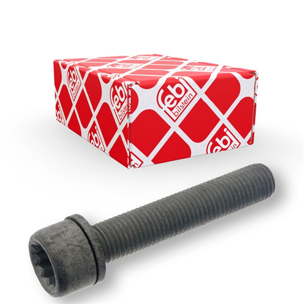 Skrue, bremsekaliper, Bagaksel FEBI BILSTEIN FEBI BILSTEIN