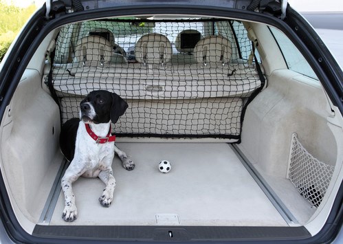 BULLY Gummieret Hund- og Lastnet