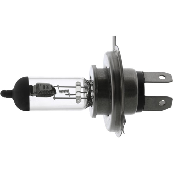 Green Mobility Parts 12V