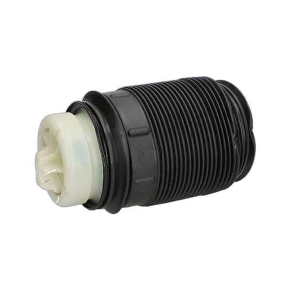 Fjerbælg, luftaffjedring, Bagaksel højre