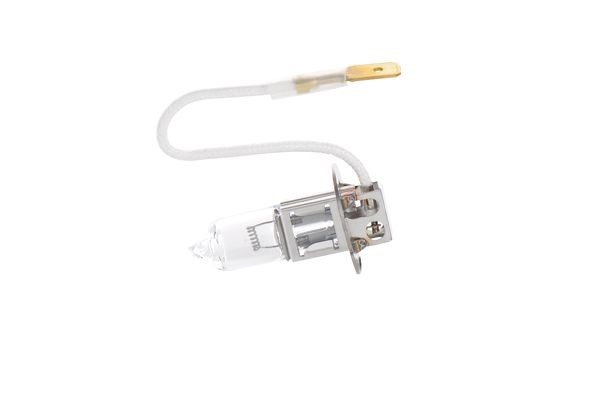 Pære, forlygte - Halogenpære BOSCH Trucklight H3 PK22s 24V BOSCH BOSCH