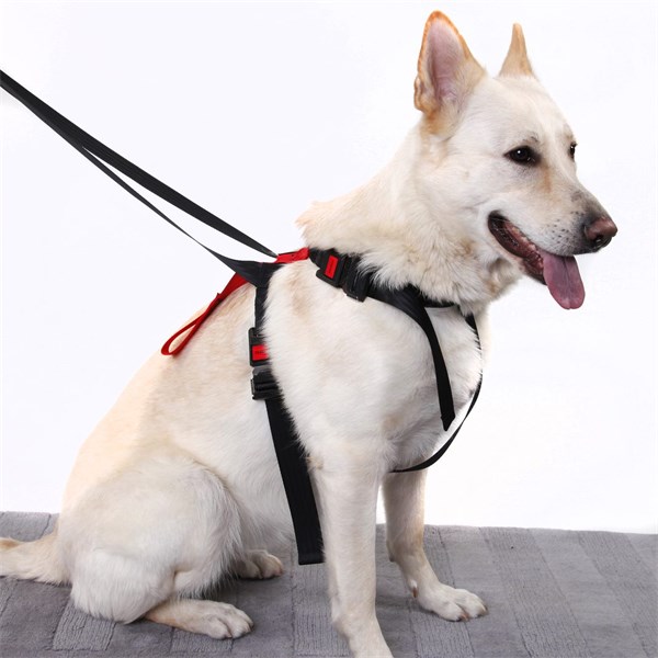 Sikkerhedssele til Hund - Small ARTFEX Artfex