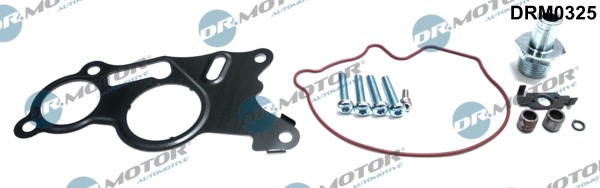 Reperationssæt, vacuumpumpe (bremsesystem) DR.MOTOR AUTOMOTIVE Dr.Motor Automotive