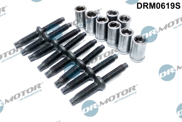 Skrue, indsprøjtningsdyseholder DR.MOTOR AUTOMOTIVE Dr.Motor Automotive