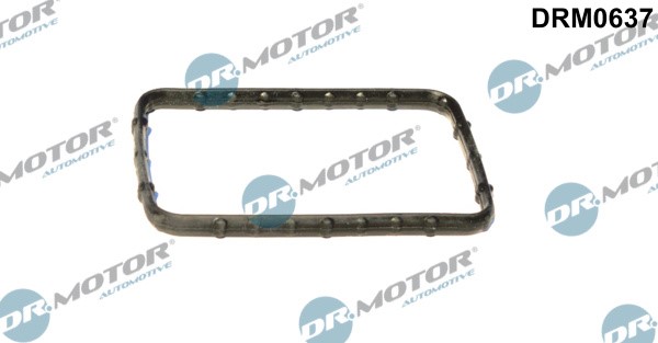 Pakning, termostat DR.MOTOR AUTOMOTIVE Dr.Motor Automotive