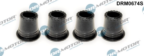 Pakning, dyseholder DR.MOTOR AUTOMOTIVE Dr.Motor Automotive