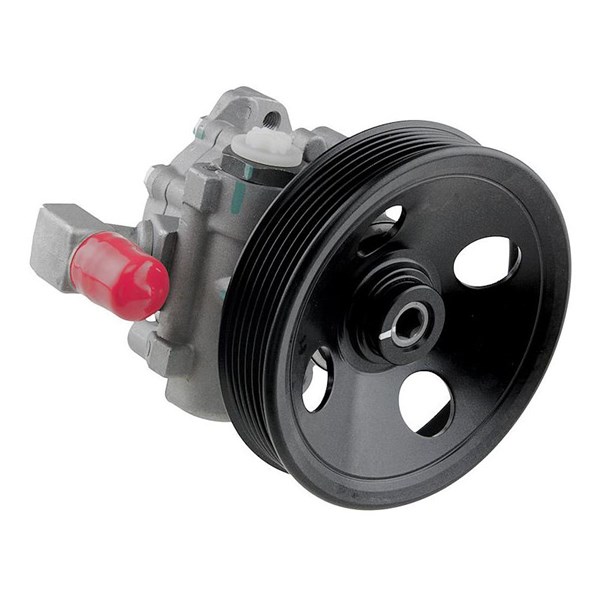 Hydraulikpumpe, styresystem NTY NTY