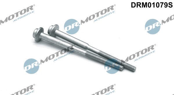 Skrue, indsprøjtningsdyseholder DR.MOTOR AUTOMOTIVE Dr.Motor Automotive
