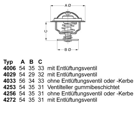 Termostat, kølemiddel BORGWARNER (WAHLER) BorgWarner (Wahler)