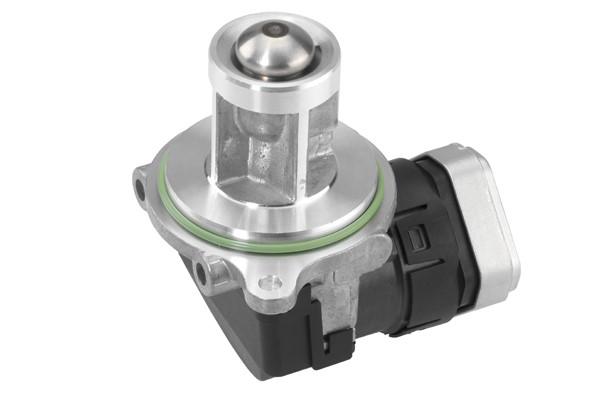 Egr-ventil BORGWARNER (WAHLER) BorgWarner (Wahler)