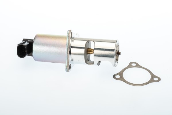 Egr-ventil BORGWARNER (WAHLER) BorgWarner (Wahler)