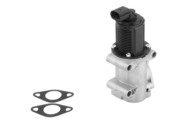 Egr-ventil BORGWARNER (WAHLER) BorgWarner (Wahler)