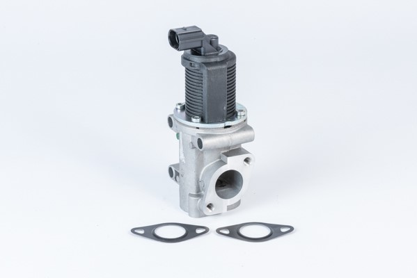 Egr-ventil BORGWARNER (WAHLER) BorgWarner (Wahler)