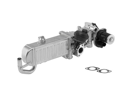 EGR-Modul BORGWARNER (WAHLER) BorgWarner (Wahler)