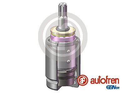 Stempel, bremsekaliper, Bagaksel, Foraksel AUTOFREN SEINSA AUTOFREN SEINSA