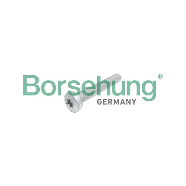 topstykkebolt BORSEHUNG Borsehung