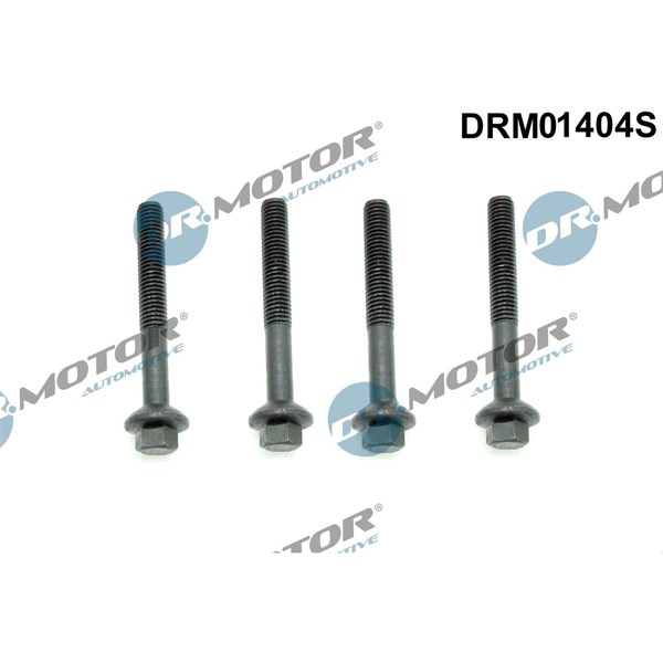 Skrue, indsprøjtningsdyseholder DR.MOTOR AUTOMOTIVE Dr.Motor Automotive