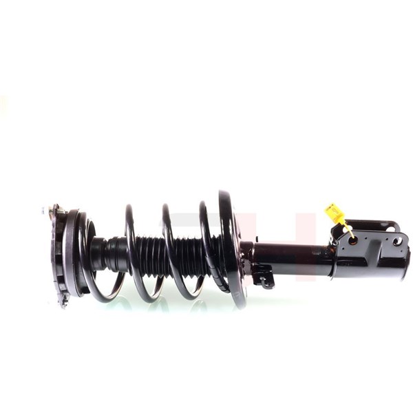 Fjederben, Foraksel, Højre foraksel, Venstre foraksel, Højre, Ven GH