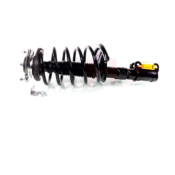 Fjederben, Foraksel, Højre foraksel, Venstre foraksel, Højre, Ven GH