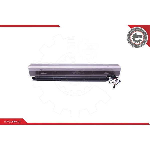 Elmotor, bagklap, Bagved til venstre ESEN SKV ESEN SKV