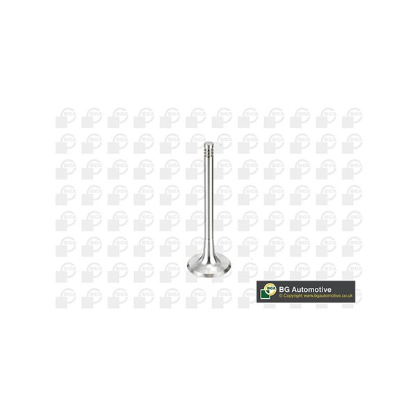 Indsugningsventil BGA BGA