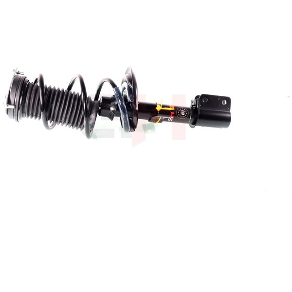 Fjederben, Foraksel, Højre foraksel, Venstre foraksel, Højre, Ven GH