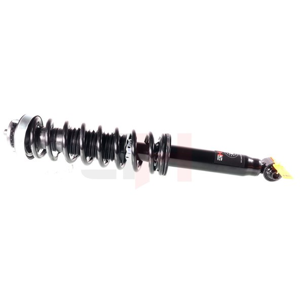 Fjederben, Bagaksel, Bagaksel højre, Bagaksel venstre, Højre, Ven GH