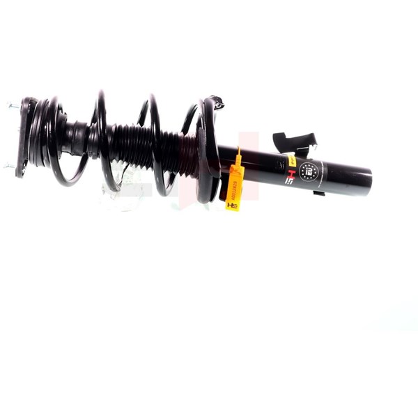 Fjederben, Foraksel, Højre foraksel, Venstre foraksel, Højre, Ven GH