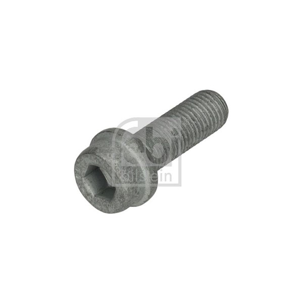 Skrue, bremsekaliper, Bag FEBI BILSTEIN FEBI BILSTEIN